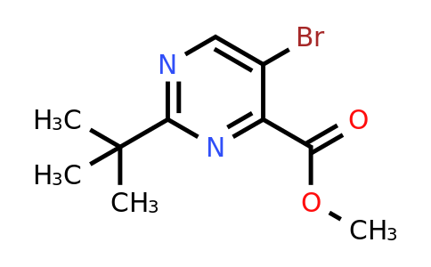 CAS 746671-54-5 | Methyl 5-bromo-2-(tert-butyl)pyrimidine-4-carboxylate