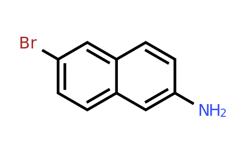CAS 7499-66-3 | 6-bromonaphthalen-2-amine