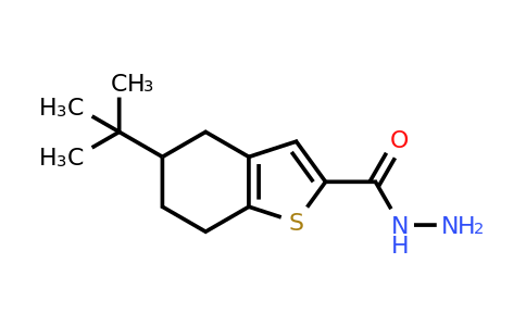 CAS 749906-98-7 | 5-tert-butyl-4,5,6,7-tetrahydro-1-benzothiophene-2-carbohydrazide