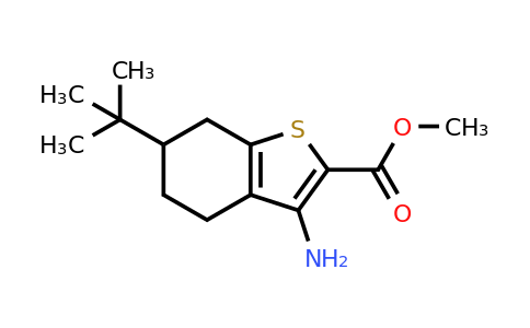 CAS 749920-50-1 | methyl 3-amino-6-tert-butyl-4,5,6,7-tetrahydro-1-benzothiophene-2-carboxylate
