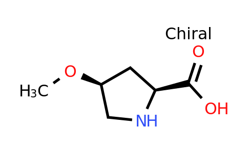 CAS 75176-22-6 | (2S,4S)-4-Methoxypyrrolidine-2-carboxylic acid