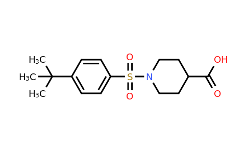 CAS 757192-86-2 | 1-(4-tert-butylbenzenesulfonyl)piperidine-4-carboxylic acid