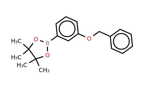 CAS 765908-38-1 | 3-Benzyloxyphenylboronic acid, pinacol ester