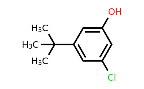 CAS 769859-73-6 | 3-Tert-butyl-5-chlorophenol