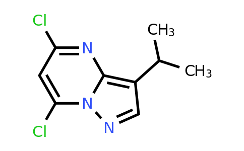 CAS 771510-32-8 | 5,7-dichloro-3-(propan-2-yl)pyrazolo[1,5-a]pyrimidine