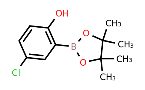 CAS 779331-28-1 | 4-Chloro-2-(4,4,5,5-tetramethyl-1,3,2-dioxaborolan-2-YL)phenol
