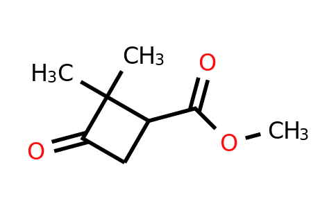 CAS 78685-51-5 | Methyl 2,2-dimethyl-3-oxocyclobutanecarboxylate