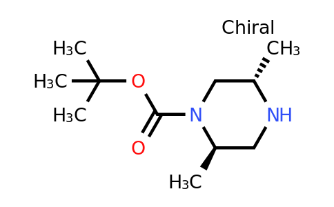 CAS 792969-69-8 | (2R,5S)-2,5-Dimethyl-piperazine-1-carboxylic acid tert-butyl ester