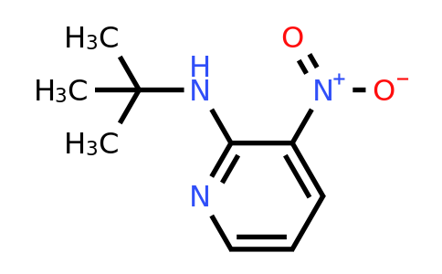 CAS 79371-45-2 | N-(tert-Butyl)-3-nitropyridin-2-amine