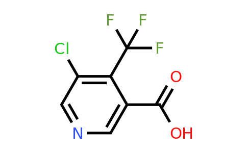 CAS 796090-28-3 | 5-Chloro-4-(trifluoromethyl)nicotinic acid