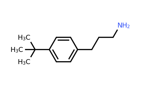 CAS 800395-53-3 | 3-(4-Tert-butylphenyl)propan-1-amine