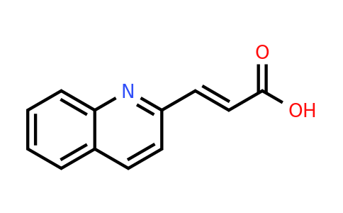 CAS 81124-50-7 | (E)-3-(Quinolin-2-yl)acrylic acid