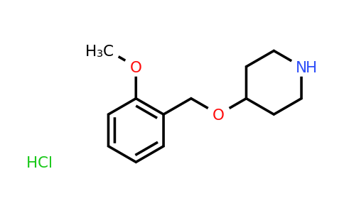 CAS 81151-57-7 | 4-[(2-methoxyphenyl)methoxy]piperidine hydrochloride