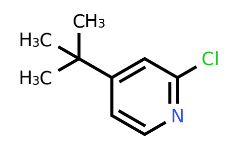 CAS 81167-60-4 | 4-tert-butyl-2-chloropyridine