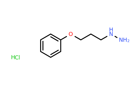 CAS 81866-67-3 | (3-Phenoxypropyl)hydrazine hydrochloride