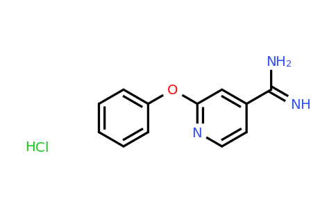 CAS 82019-90-7 | 2-Phenoxypyridine-4-carboximidamide hydrochloride