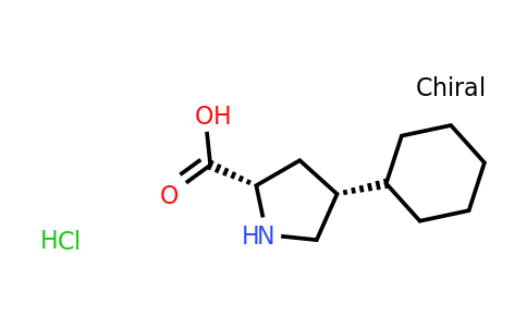 CAS 82087-68-1 | (2S,4R)-4-cyclohexylpyrrolidine-2-carboxylic acid;hydrochloride