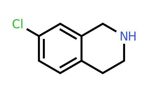 CAS 82771-60-6 | 7-Chloro-1,2,3,4-tetrahydroisoquinoline