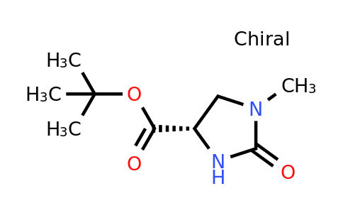 CAS 83056-79-5 | (S)-tert-Butyl 1-methyl-2-oxoimidazolidine-4-carboxylate