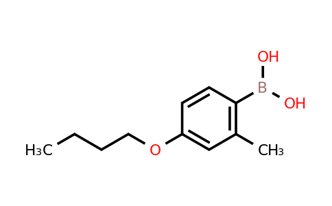 CAS 845551-43-1 | 4-Butoxy-2-methylphenylboronic acid
