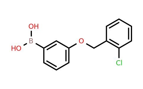 CAS 845551-45-3 | 3-(2'-Chlorobenzyloxy)phenylboronic acid