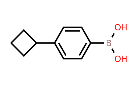 CAS 845797-74-2 | (4-Cyclobutylphenyl)boronic acid
