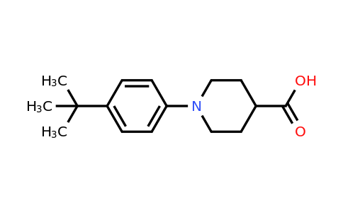 CAS 847407-99-2 | 1-(4-(tert-Butyl)phenyl)piperidine-4-carboxylic acid