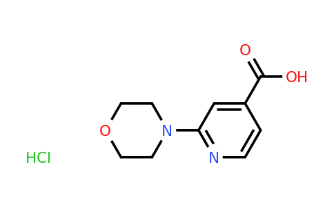 CAS 848580-46-1 | 2-Morpholin-4-yl-isonicotinic acid hydrochloride