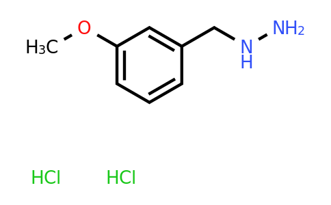 CAS 849021-11-0 | [(3-methoxyphenyl)methyl]hydrazine dihydrochloride