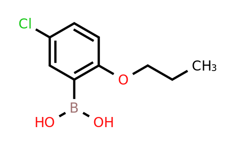 CAS 849062-29-9 | 5-Chloro-2-propoxyphenylboronic acid