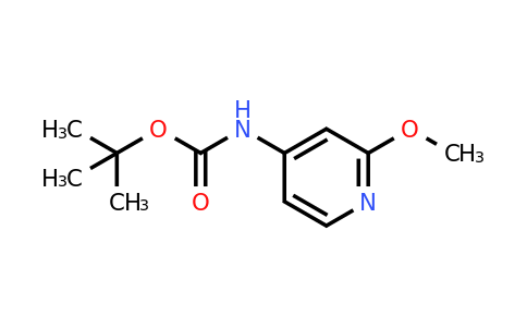 CAS 849353-31-7 | (2-Methoxy-pyridin-4-YL)-carbamic acid tert-butyl ester