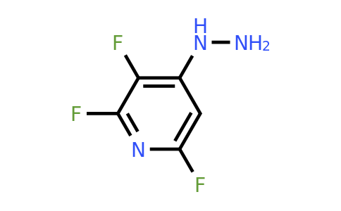 CAS 849937-92-4 | 2,3,6-trifluoro-4-hydrazinylpyridine