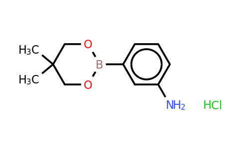CAS 850567-43-0 | 3-Aminobenzeneboronic acid, neopentyl glycol ester hydrochloride