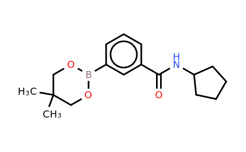 CAS 850567-45-2 | 3-(Cyclopentylaminocarbonyl)phenylboronic acid, neopentyl glycol ester
