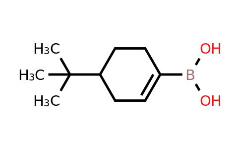 CAS 850567-91-8 | 4-Tert-butyl-1-cyclohexen-1-ylboronic acid