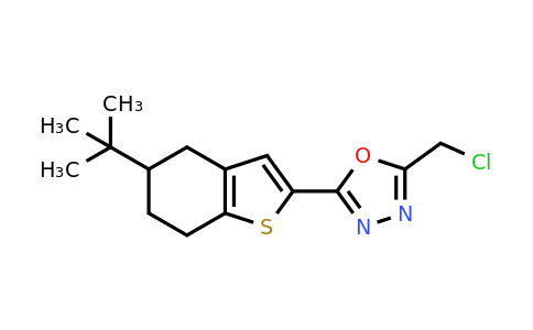 CAS 851721-80-7 | 2-(5-tert-butyl-4,5,6,7-tetrahydro-1-benzothiophen-2-yl)-5-(chloromethyl)-1,3,4-oxadiazole