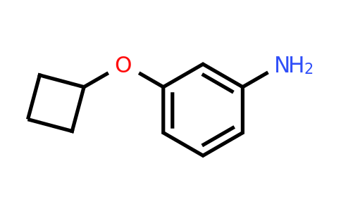 CAS 853200-97-2 | 3-cyclobutoxyaniline