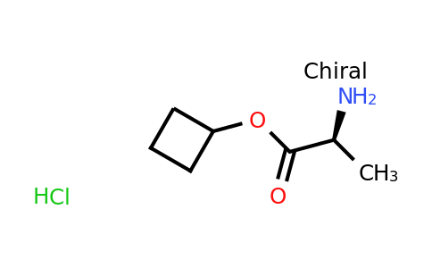 CAS 859210-29-0 | (S)-Cyclobutyl 2-aminopropanoate hydrochloride