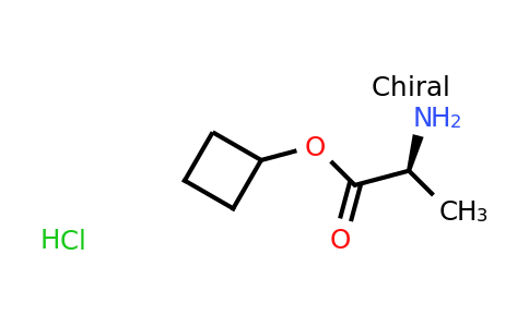 (S)-Cyclobutyl 2-aminopropanoate hydrochloride