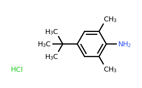 CAS 859784-19-3 | 4-tert-Butyl-2,6-dimethylphenylamine hydrochloride