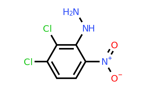 CAS 861363-57-7 | (2,3-Dichloro-6-nitrophenyl)hydrazine