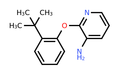 CAS 861673-68-9 | 2-(2-tert-butylphenoxy)pyridin-3-amine