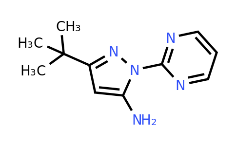 CAS 862368-63-6 | 3-tert-Butyl-1-(pyrimidin-2-yl)-1H-pyrazol-5-amine