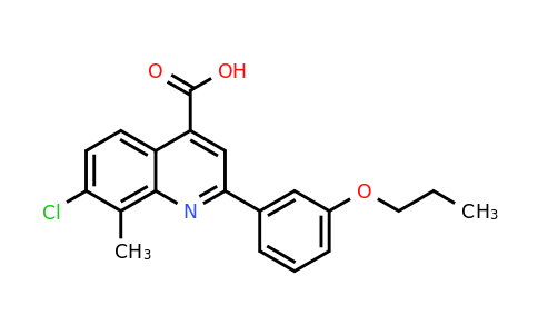 CAS 863185-11-9 | 7-Chloro-8-methyl-2-(3-propoxyphenyl)quinoline-4-carboxylic acid