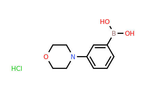 CAS 863248-20-8 | 3-Morpholinophenylboronic acid hydrochloride