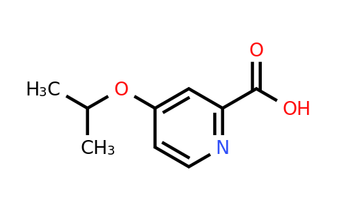 CAS 863507-74-8 | 4-Isopropoxypicolinic acid