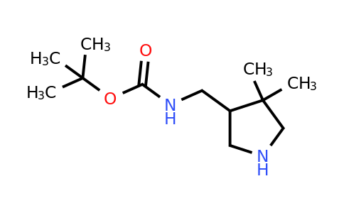 CAS 869292-47-7 | tert-butyl N-[(4,4-dimethylpyrrolidin-3-yl)methyl]carbamate