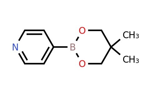 CAS 869901-52-0 | 4-(5,5-Dimethyl-1,3,2-dioxaborinan-2-yl)pyridine