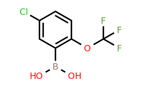 CAS 870822-78-9 | 5-Chloro-2-(trifluoromethoxy)phenylboronic acid