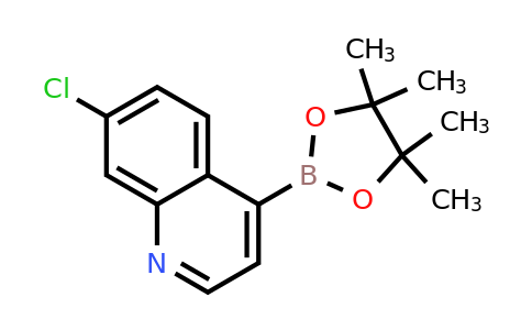 CAS 871125-83-6 | 7-Chloroquinoline-4-boronic acid pinacol ester